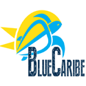 Blue Caribe Tours