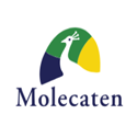 Molecaten Discount Code